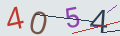 verifycode